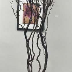 Manzanita Tree, Real