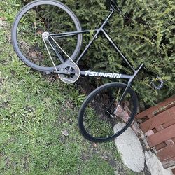 💦TESTING WATERS💦 TSUNAMI