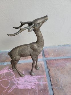 Reindeer