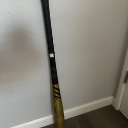 Marucci Maple Woody