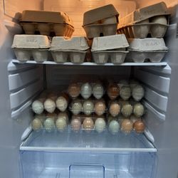 Eggs