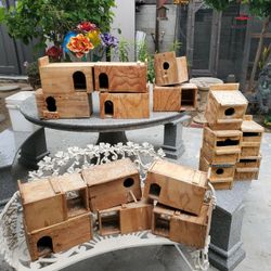 finches breeding nest box