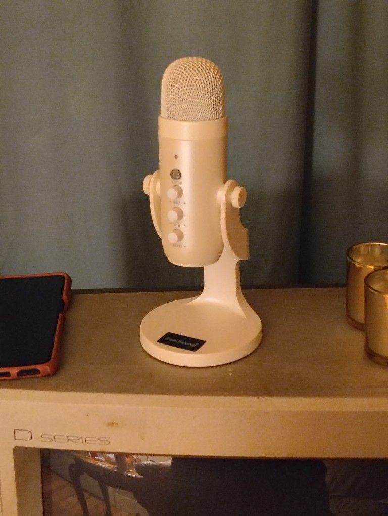 Studio Microphone