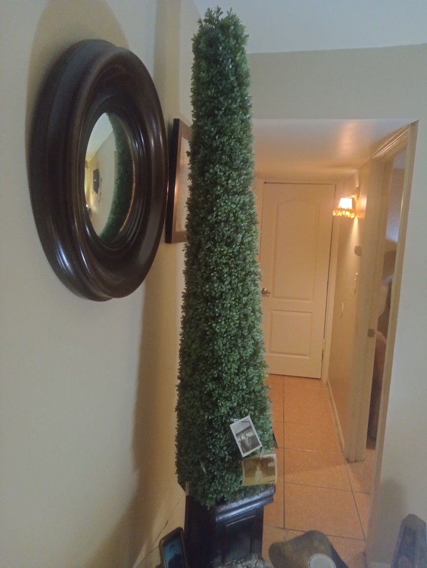 Topiary 5ft Tall Upscale 