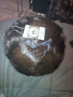 Ferret hat