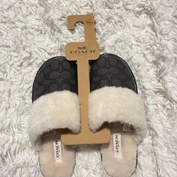 Coach Slippers (size 5) Women