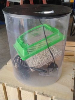Fish Tank 3 gallons