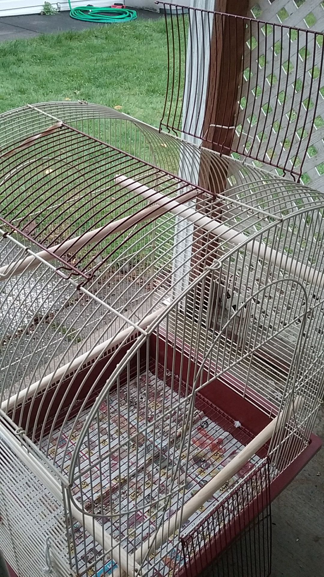 Large bird cage. Battle Ground.