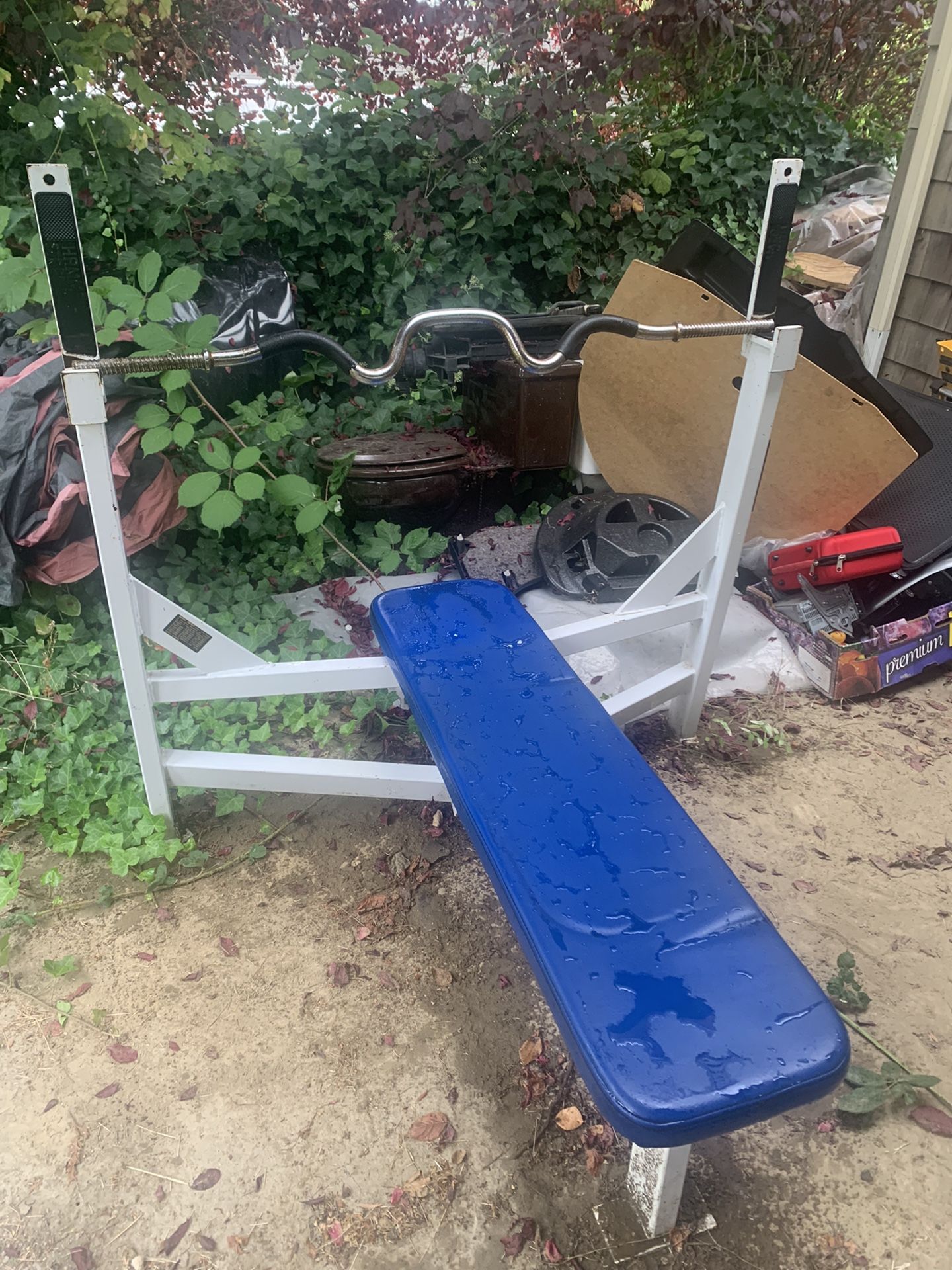 Bench Press