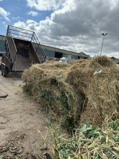 Junk Dump Trailer