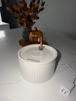 Pet Water Fountain (Brand New)
