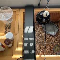 Baby Tortoise And Enclosure 