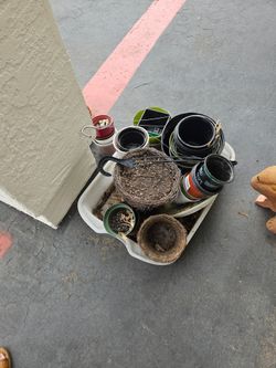 Pots good for seed starting