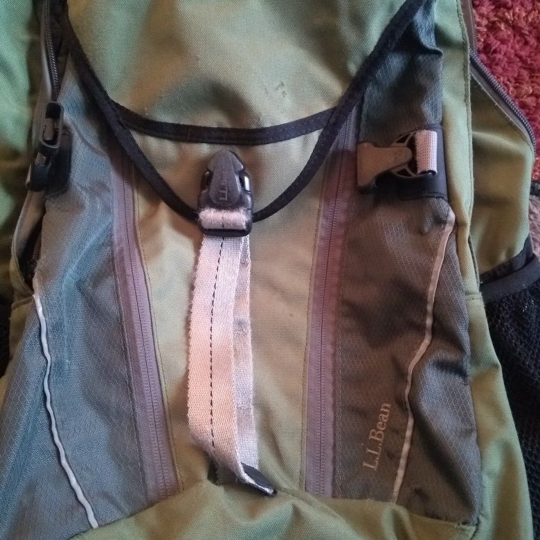 Book Bag ...LLBEAN...Sage Green