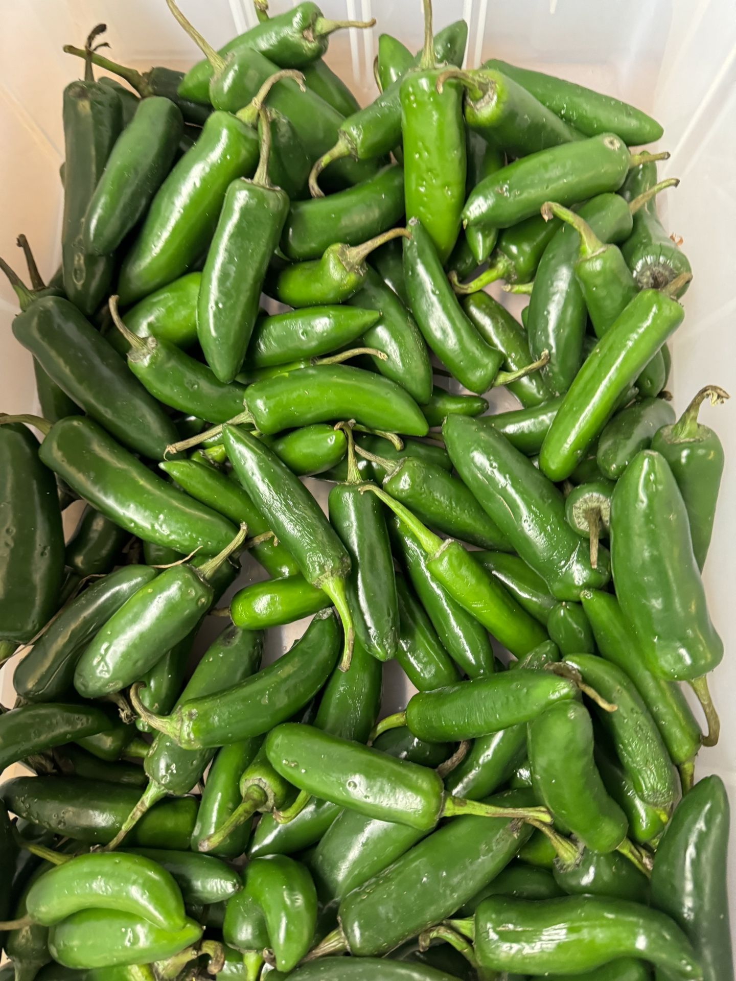 Produce