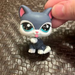 Littlest Pet Shop #2204 Kitty Cat Gray White Licking Paw Teal Eye Fashion Treats
