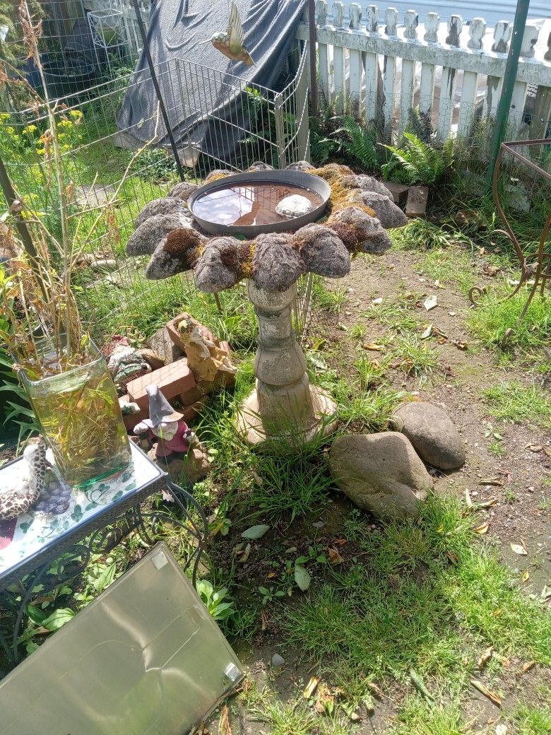 Bird bath.