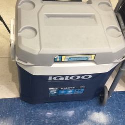 Igloo Cooler