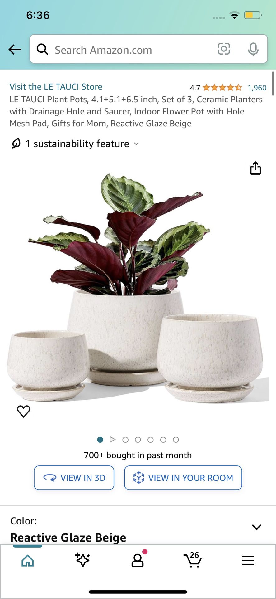 Plant Pots Ceramic 