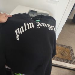Palm Angel 