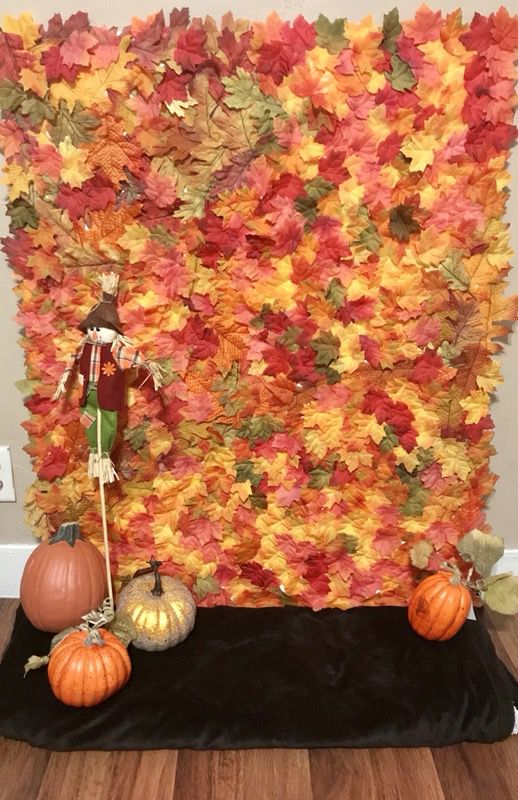 Fall decorations or picture background prop