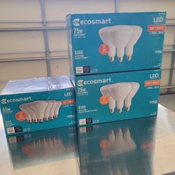LED BULBS
