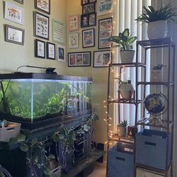 Moving! Come By Make An Offer!!