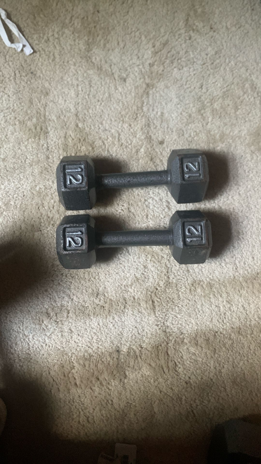 12lb Weights
