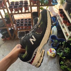 Bape Camo shoes