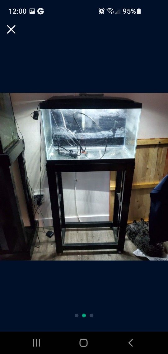 10 gallon aquarium