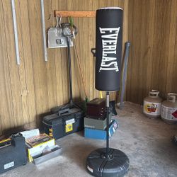 Punching bag, Everlast
