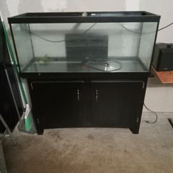 Fish tank