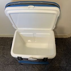 Igloo Cooler 