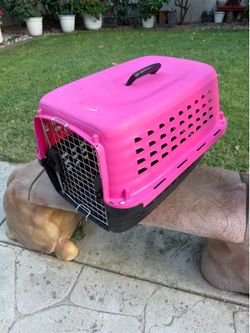 Pet Crates & Carries