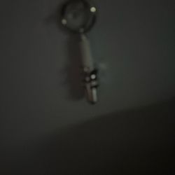 Keychain, flashlight, spark plug