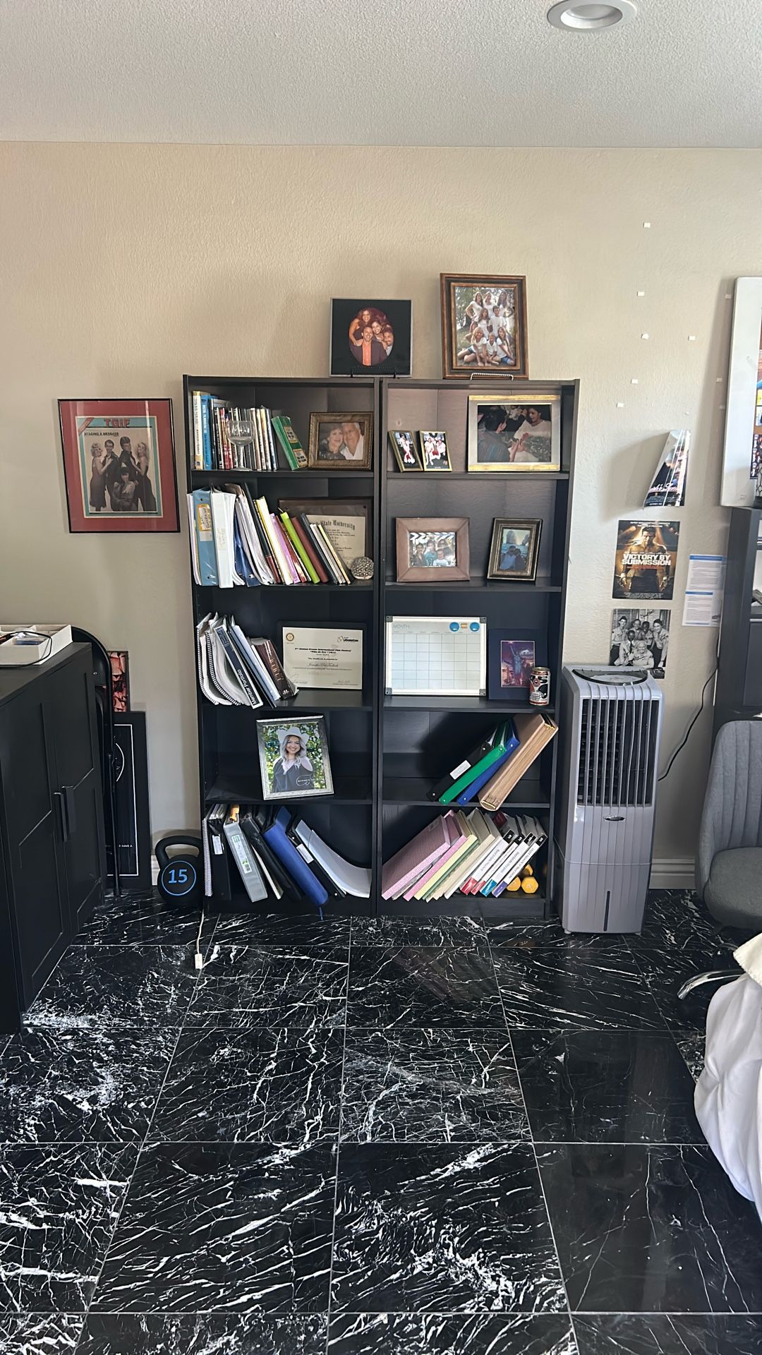 Bookshelves (Two of them)