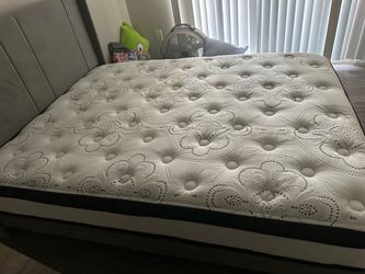 Queen size Bed and mattress for sale near price in description