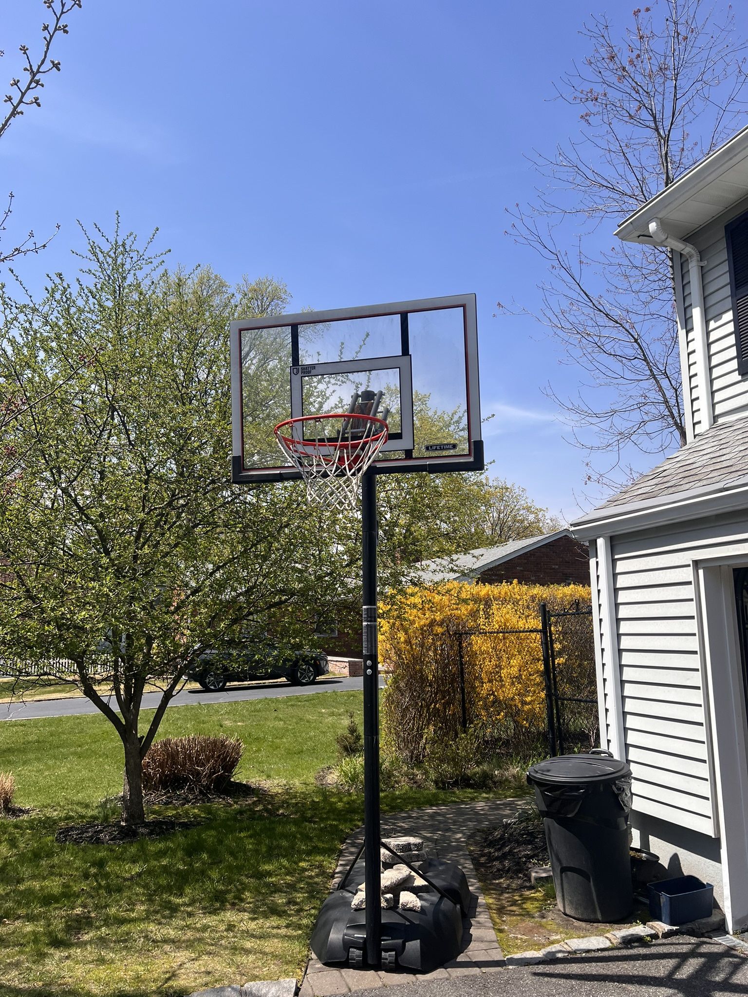 Lifetime Basketball Hoop
