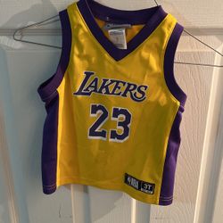 LeBron James Los Angeles Lakers Basketball Jersey 