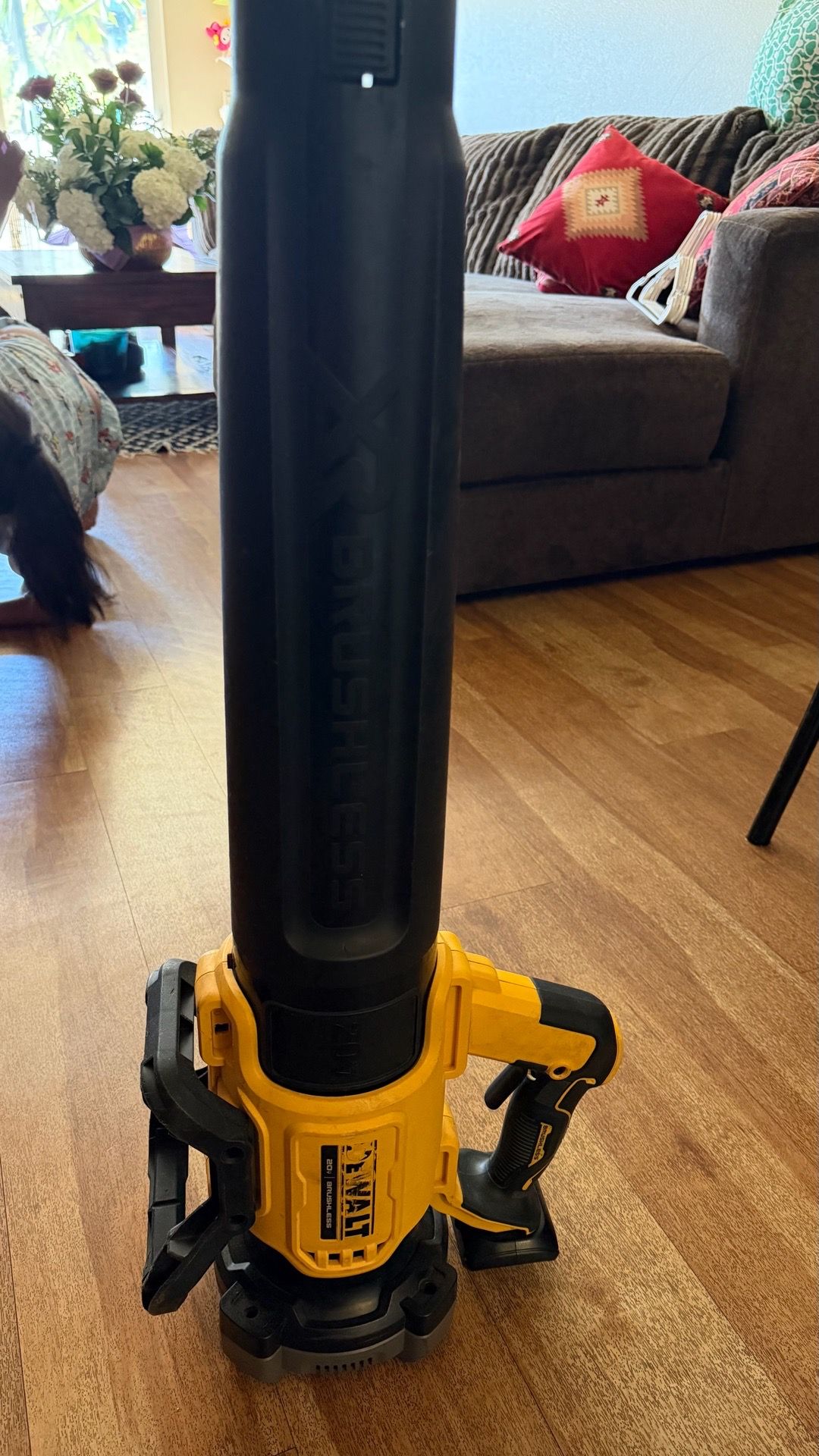 Dewalt Blower