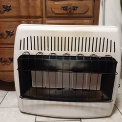 Dyno Glo 30000 Btu Wall Or Floor Mount Heater