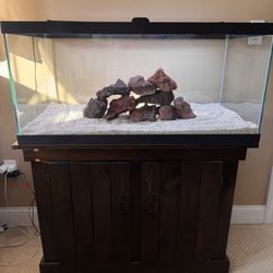 40 Gallon Breeder Fish Tank With Stand
