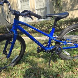 Specialized 20 Inch Mountain Bike Age 4 - 7