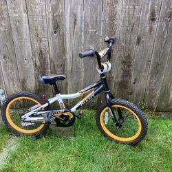 Kids Bike: Giant Animator 16” Wheels/ with Chris King Headset