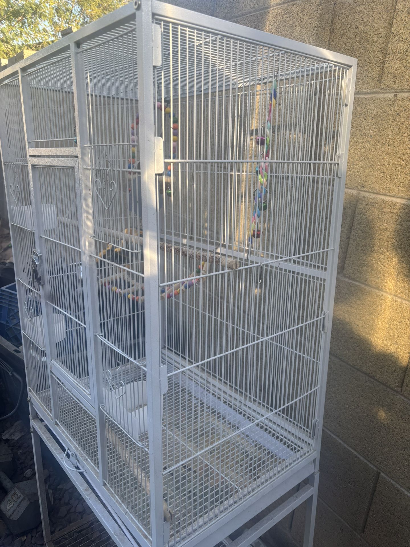 Bird Cage Jaula