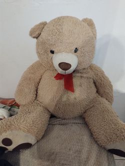 Bid Teddy 🧸