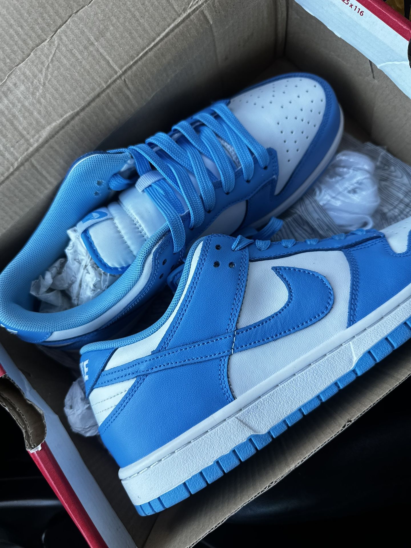 Universal Blue Dunks