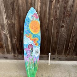 Long Skate Board 