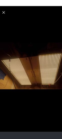 Nextlight Mega Grow light