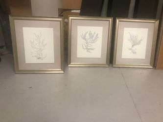 Soicher Marin “””””””” three set picture frame